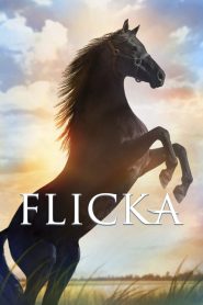 Assistir - Flicka - Filme Online