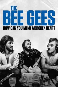 Assistir - The Bee Gees: How Can You Mend a Broken Heart - Filme Online