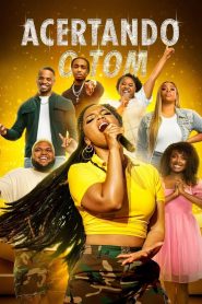 Assistir - Acertando o Tom - Filme Online