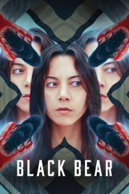 Assistir - Black Bear - Filme Online
