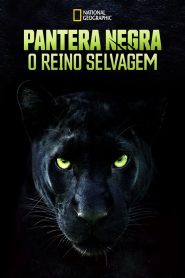 Assistir - Pantera Negra: O Reino Selvagem - Filme Online