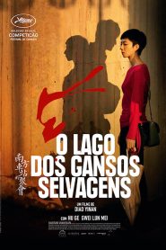 Assistir - O Lago do Ganso Selvagem - Filme Online