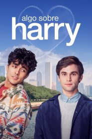 Assistir - Algo Sobre Harry - Filme Online